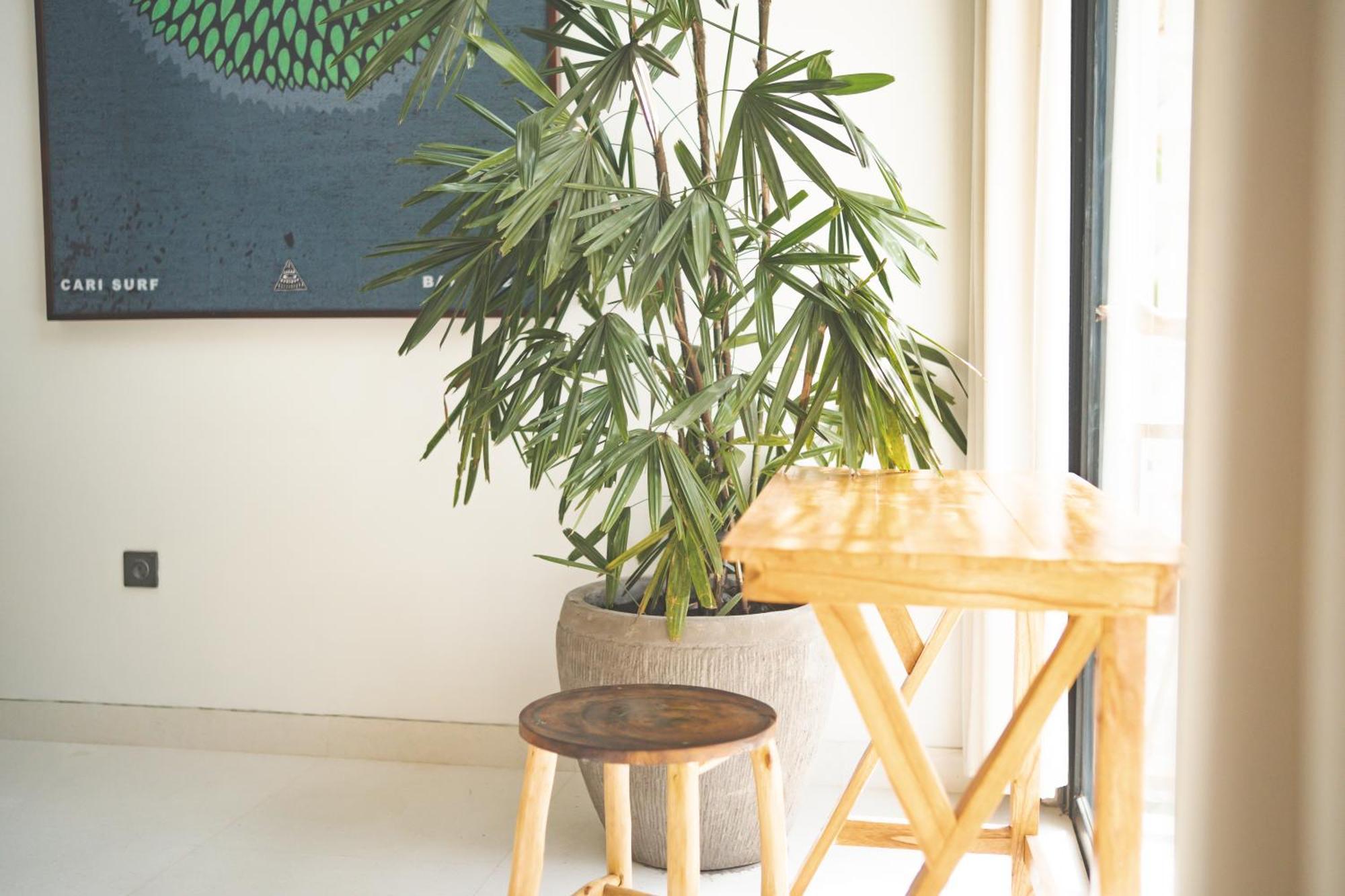 Cari Surf Camp & Studio'S Uluwatu Chambre photo
